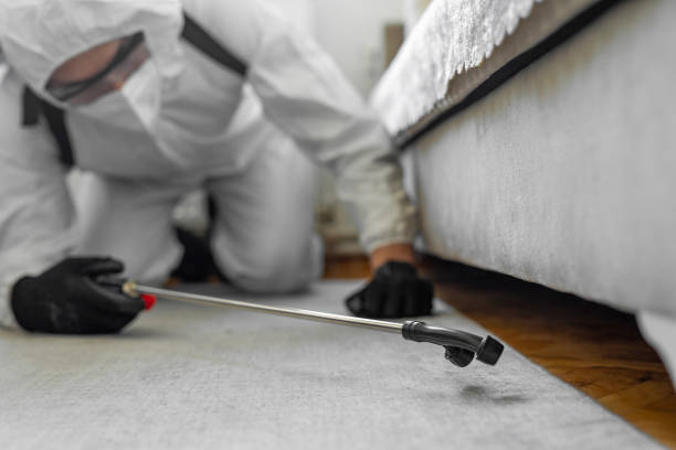 Professional Termite Control technician working in Old Town, ME