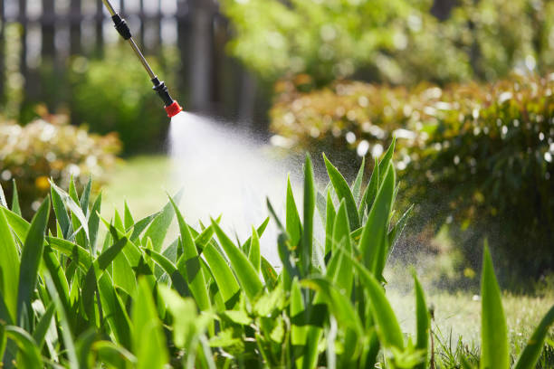 24/7 Emergency Termite Control experts in Old Town, ME