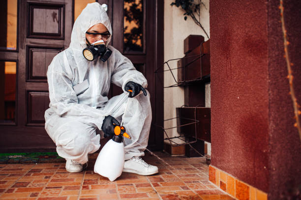 Reliable Termite Control contractor in Old Town, ME by Nex Pest Control